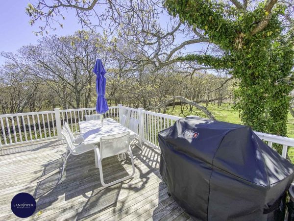 Cape Cod Home 994803