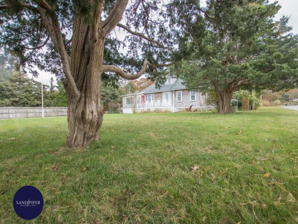 Cape Cod Home 994807