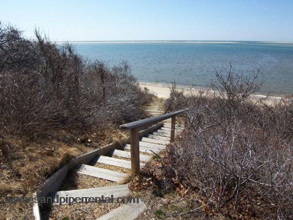 Cape Cod Home 994808