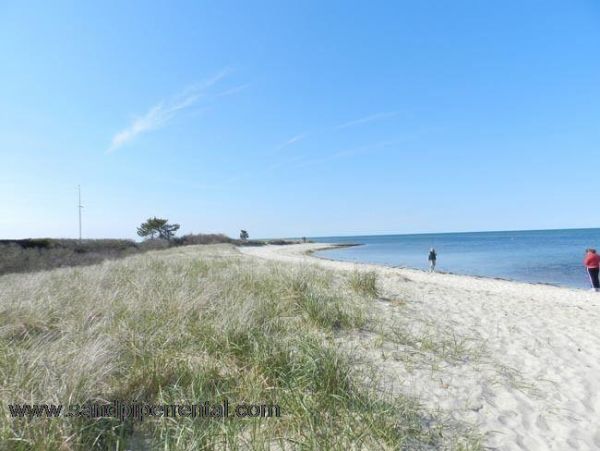 Cape Cod Home 994815