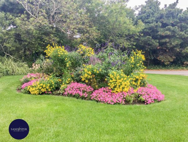 Cape Cod Home 994816