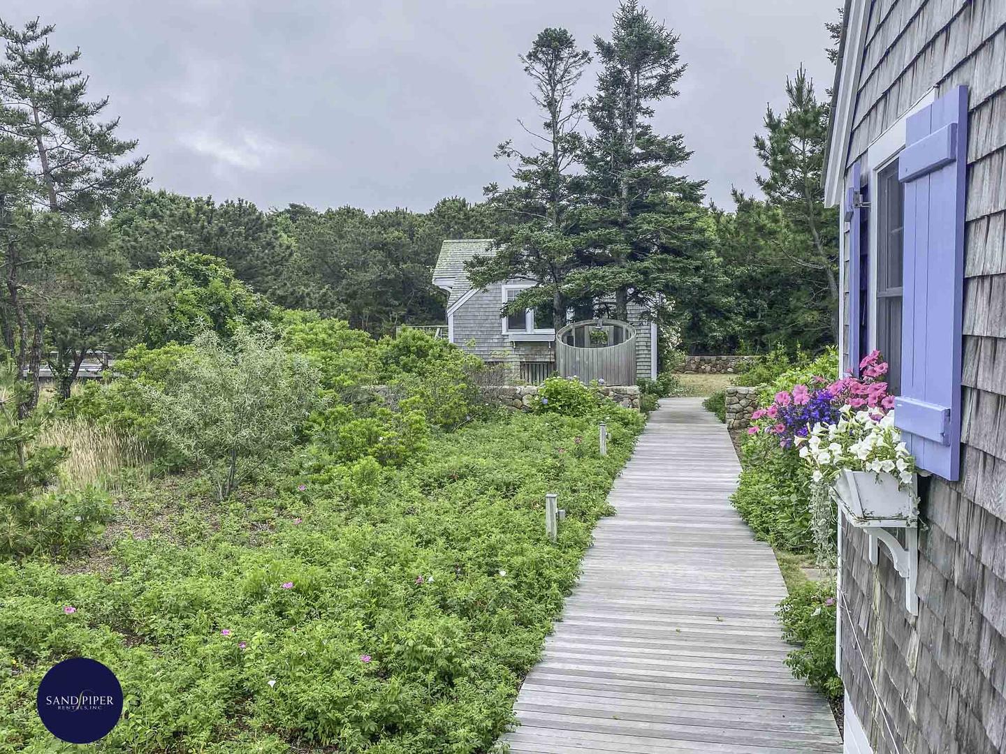 Cape Cod Home 994823