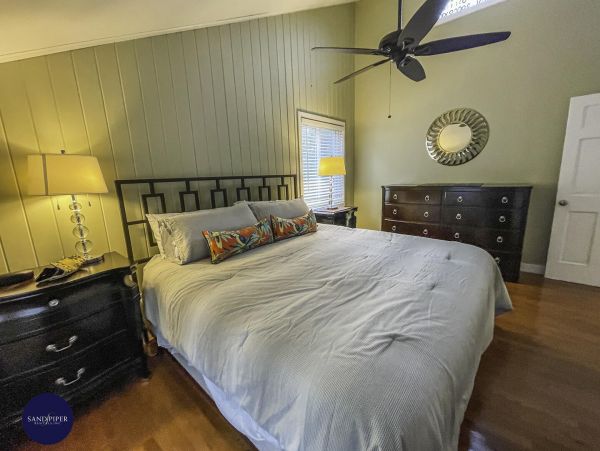 Cape Cod Home 994829