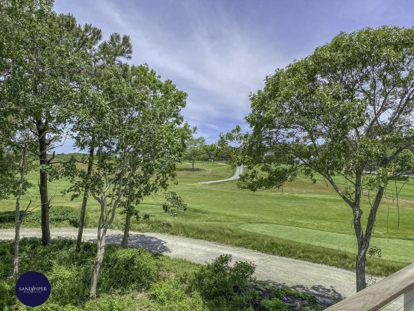 Cape Cod Home 994831