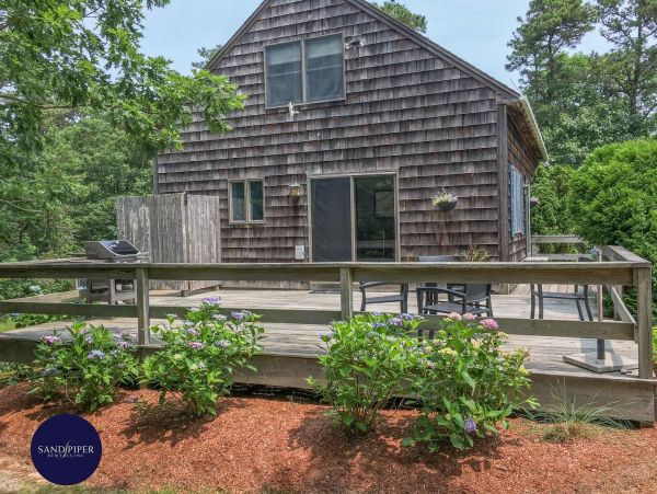 Cape Cod Home 994834