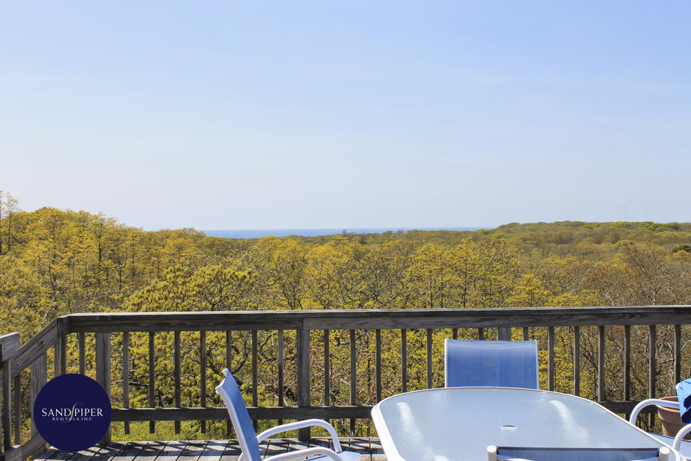 Cape Cod Home 994836