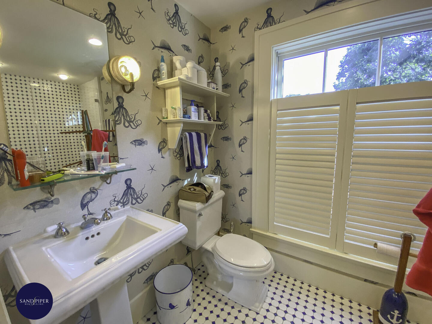 Cape Cod Home 994837