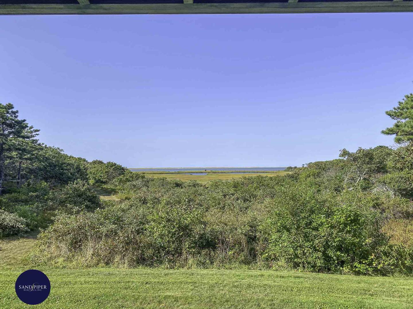 Cape Cod Home 994837