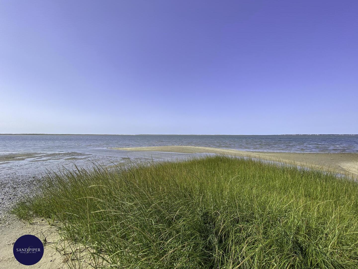 Cape Cod Home 994837