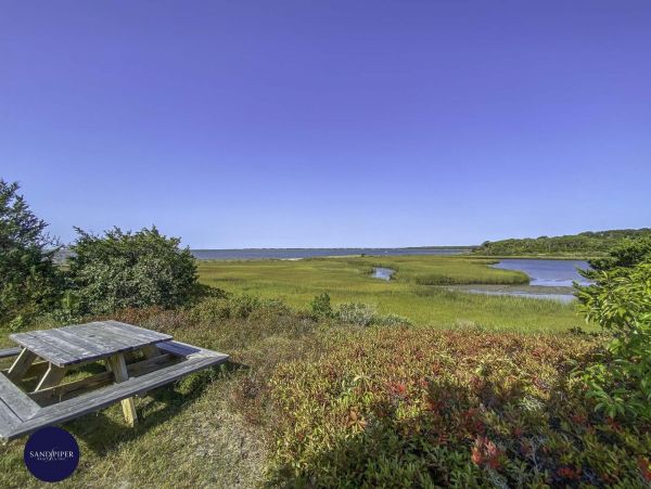 Cape Cod Home 994837