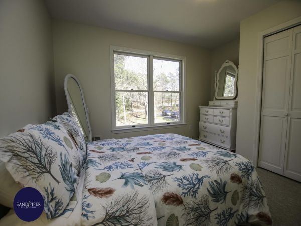 Cape Cod Home 994842
