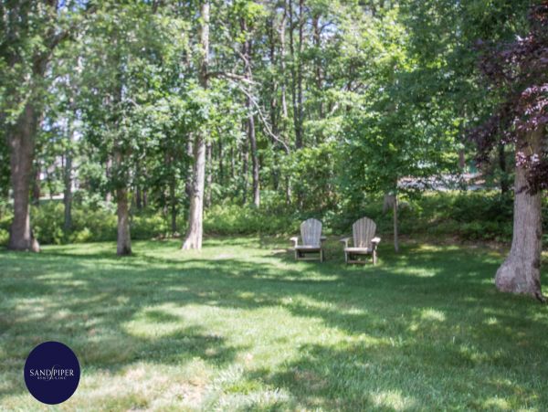 Cape Cod Home 994842