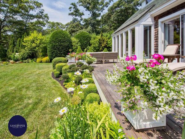 Cape Cod Home 994848