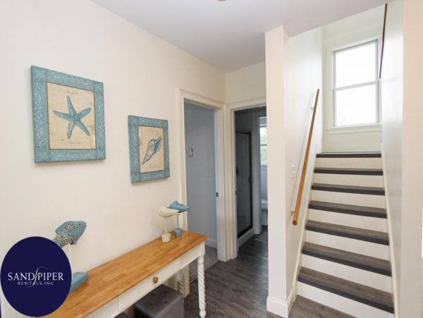 Cape Cod Home 994849