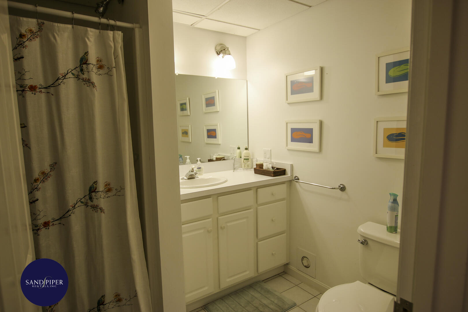 Cape Cod Home 994859