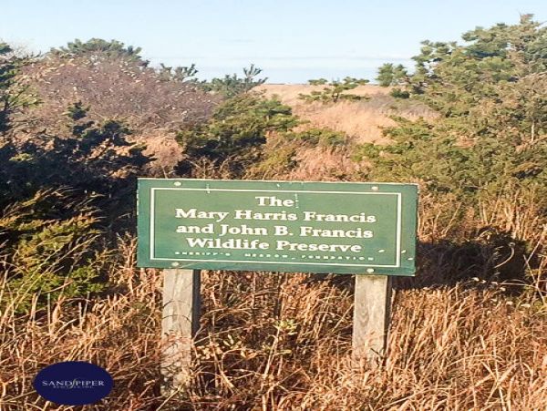 Cape Cod Home 994863