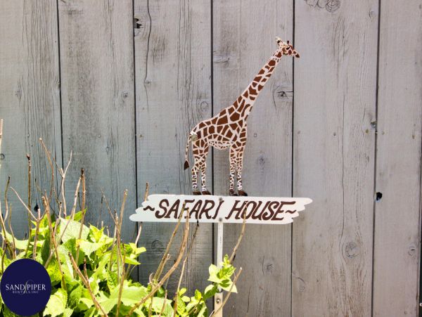 Cape Cod Home 994867