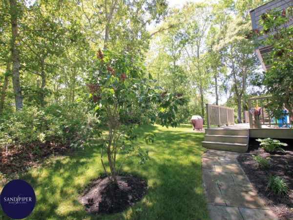 Cape Cod Home 994868