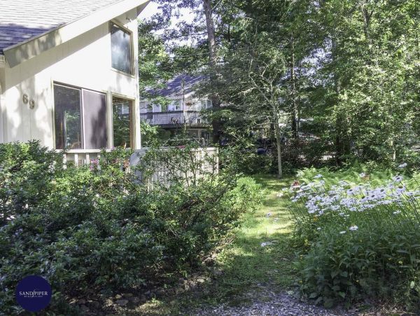 Cape Cod Home 994872