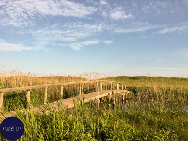 Cape Cod Home 994879