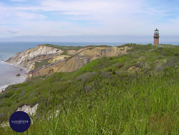 Cape Cod Home 994879