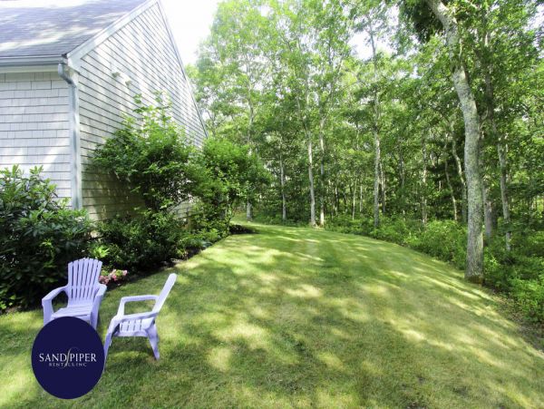 Cape Cod Home 994891