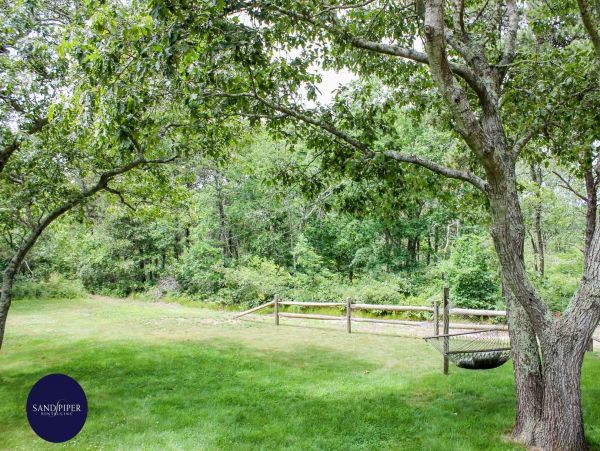 Cape Cod Home 994894