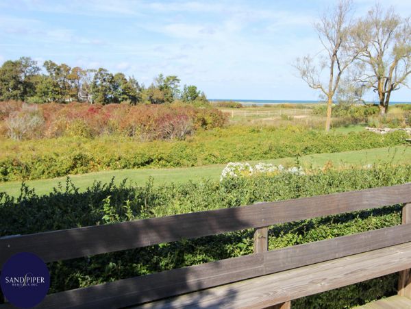 Cape Cod Home 994898