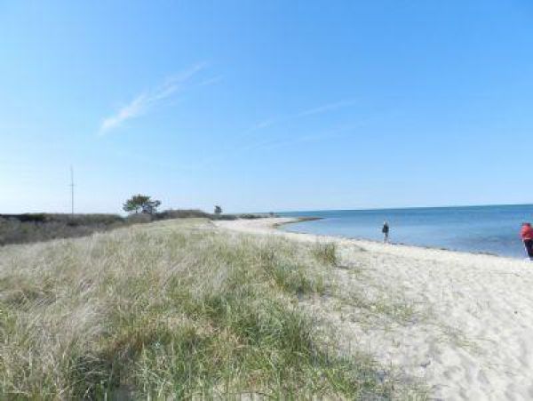 Cape Cod Home 994898