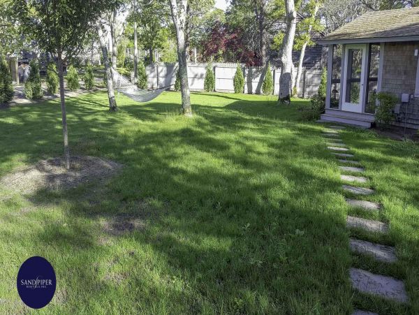 Cape Cod Home 994904