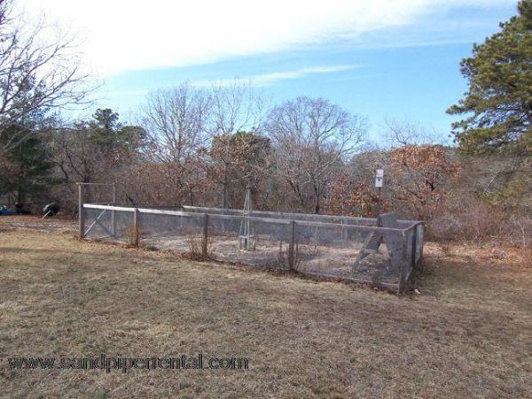 Cape Cod Home 994909
