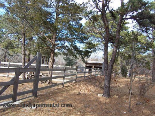 Cape Cod Home 994909