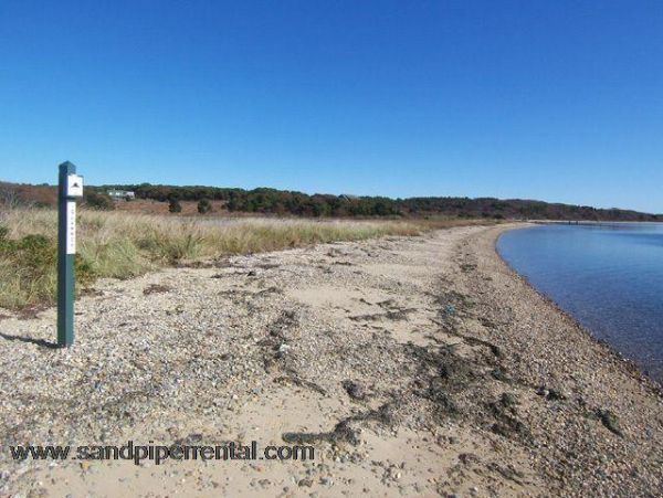 Cape Cod Home 994917