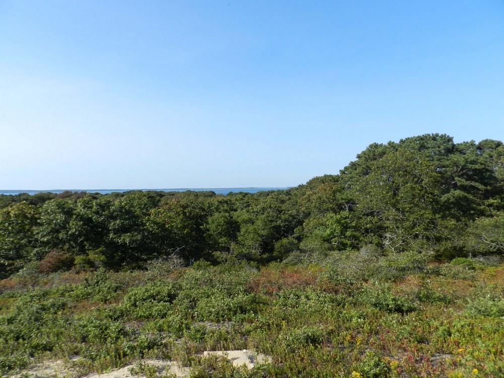 Cape Cod Home 994926