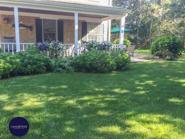 Cape Cod Home 994935