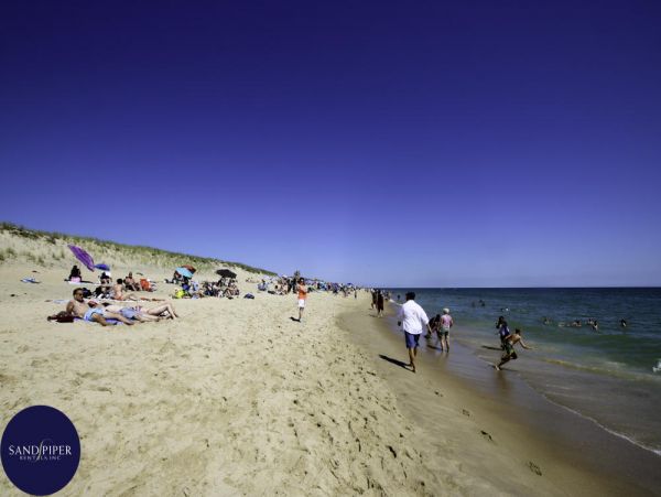 Cape Cod Home 994935