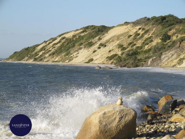 Cape Cod Home 994937