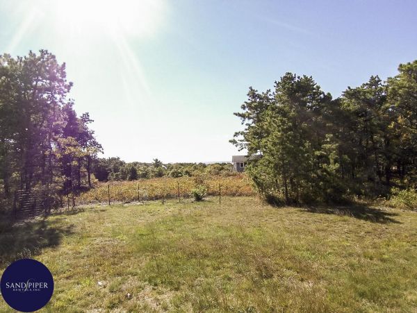 Cape Cod Home 994938