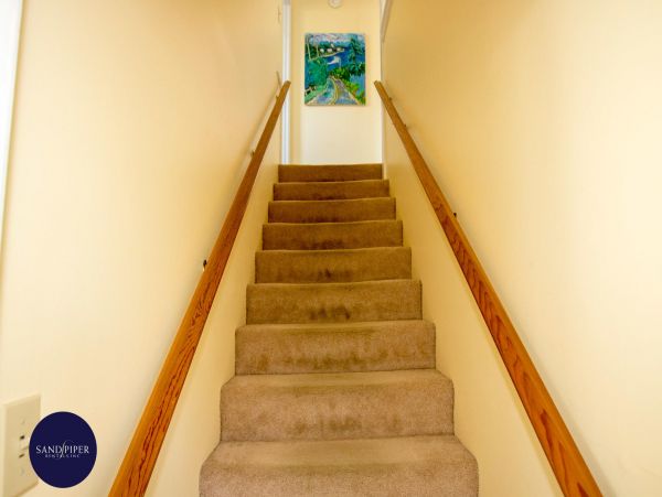 Cape Cod Home 994939