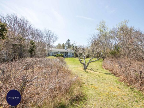 Cape Cod Home 994974