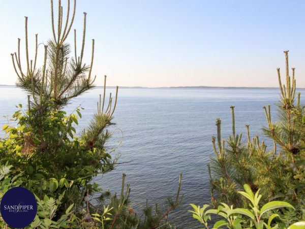Cape Cod Home 994974