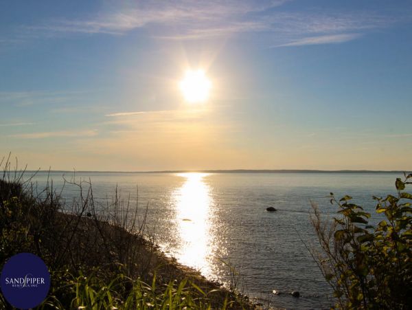 Cape Cod Home 994974