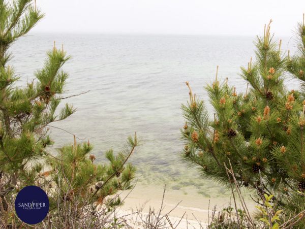 Cape Cod Home 994974