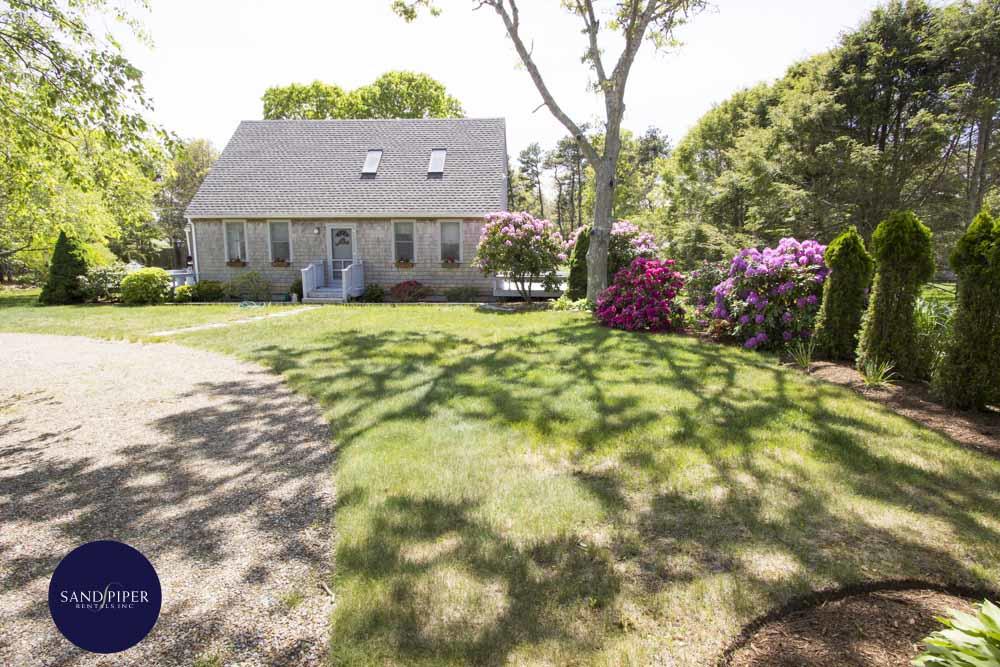 Cape Cod Home 994975