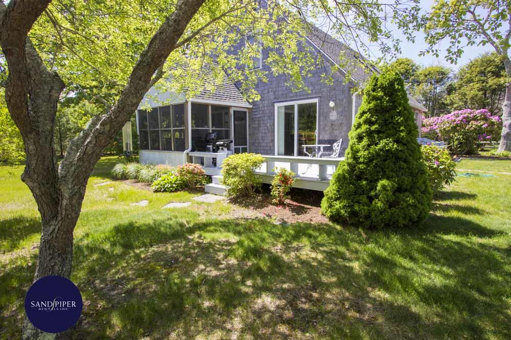 Cape Cod Home 994975