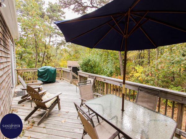 Cape Cod Home 994983