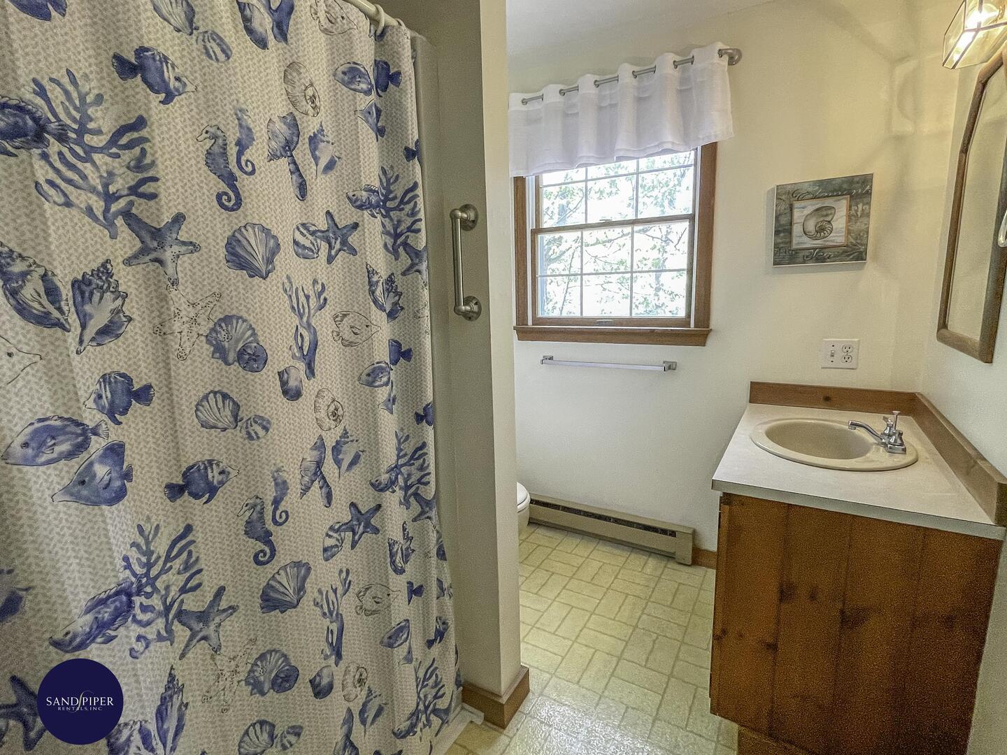 Cape Cod Home 994983