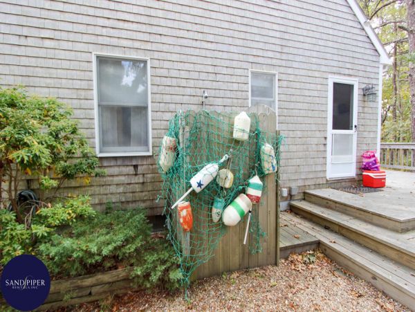Cape Cod Home 994983
