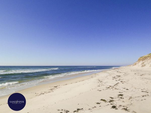Cape Cod Home 994985