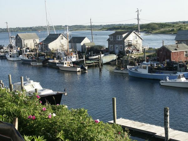 Cape Cod Home 994985